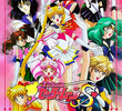 Sailor Moon (3ª Temporada - Sailor Moon S)