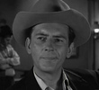Mr. Muldoon's Partner