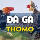 Foto de perfil de Da ga Thomo