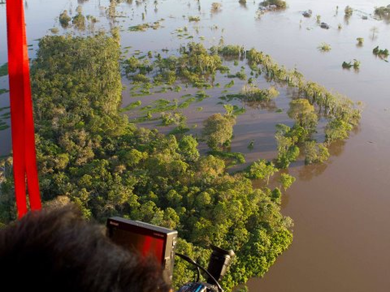 Foto 5 de Amazônia Eterna