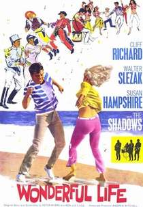 Vida Maravilhosa (Wonderful Life)