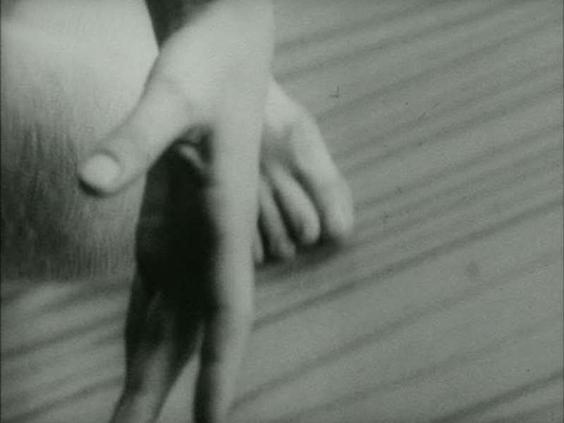 Foto 2 de 9 Variations on a Dance Theme