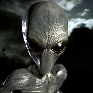 Foto de perfil de Postmaster