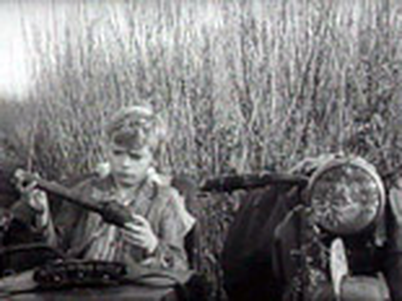 Foto 1 de Viva a República