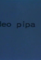 Vídeo Pipa 2