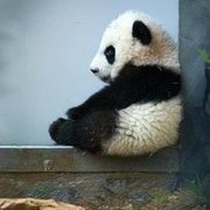 Foto de perfil de Vinícius Yukio