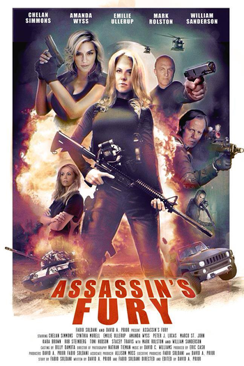 Poster de Filme Assassin's Fury (2016)