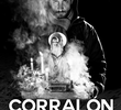 Corralón