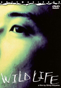 Wild Life (Wild Life)