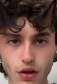 Fernando Cattori