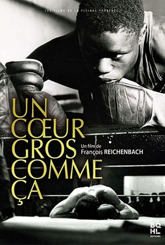 Poster 1 de Filme The Winner (1965)