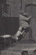 The Tramp and the Dog (The Tramp and the Dog)