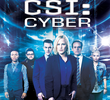 CSI: Cyber (1ª Temporada)
