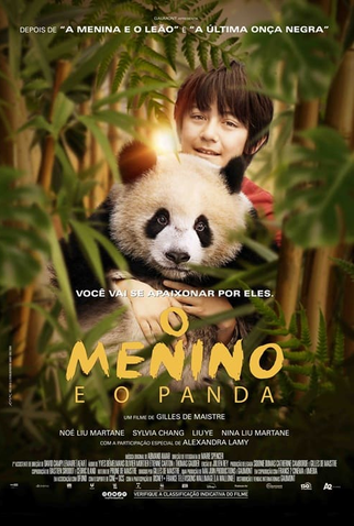 Poster 5 de Filme O Menino e o Panda (2025)
