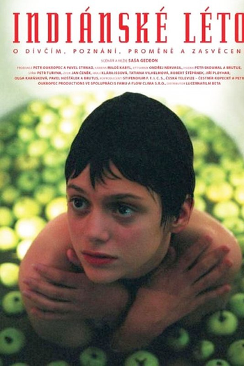 Poster de Filme Indiánské léto (1995)