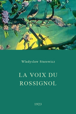 A Voz do Rouxinol (La voix du rossignol)