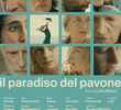 The Peacock's Paradise
