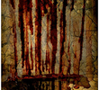 Drakul