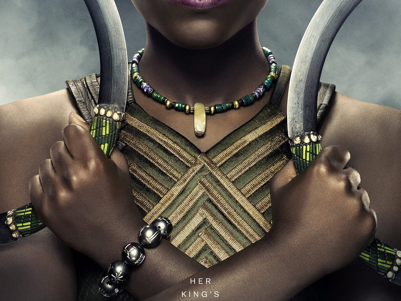 Foto 14 de Pantera Negra