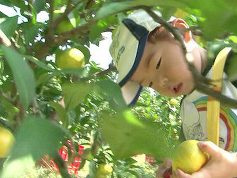 Foto 5 de Crescidinhos