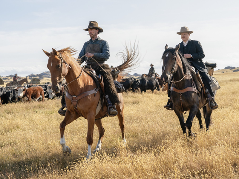 Foto 3 de Ataque dos Cães