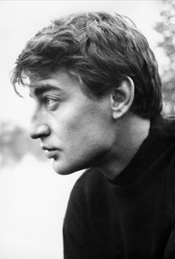 Henri Serre