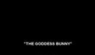 The Goddess Bunny (Trailer)