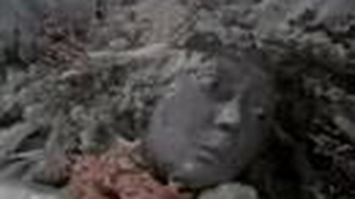 Trailer: Jan Svankmajer - Flora  (1989)