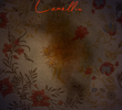 Red Camellia