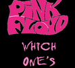 The Pink Floyd Story: Which One's Pink?