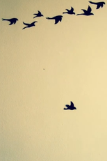 A Vida Curta e Triste da Liberdade (A Vida Curta e Triste da Liberdade)