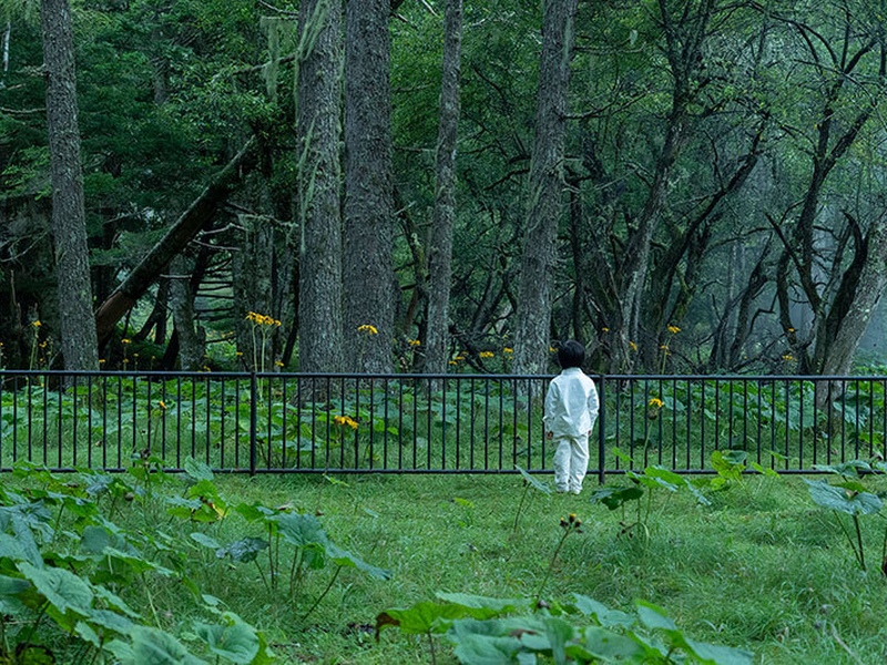 Foto 3 de Yakusoku no Neverland