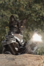 Gatos vs Zumbis (Cats vs Zombies)
