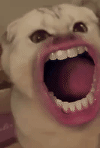 Poster 3 de Curta Meow (2015)