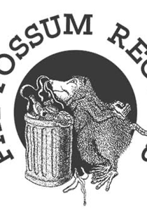 It's Bad, You Know. The Blues According to Fat Possum Records (It's Bad, You Know. The Blues According to Fat Possum Records)