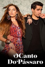 O Canto do Pássaro (O Canto do Pássaro)