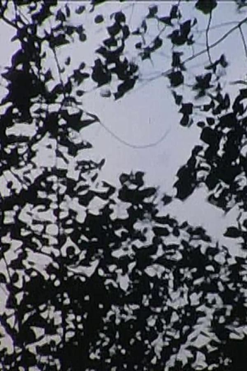 Poster de Curta Caterpillar (1973)