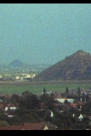 Poster 1 de Curta CABALE DES OURSINS (1991)