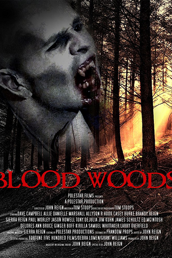 Poster de Filme Blood Woods (2017)