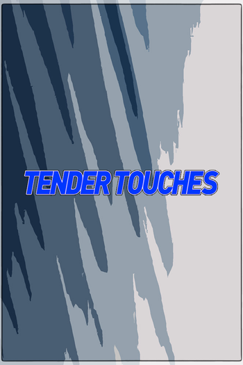 Poster de Franquia Tender Touches (2017)
