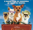 Perdido Pra Cachorro