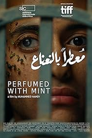 Poster de Filme Sabor Menta (2024)