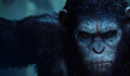 Planeta dos Macacos: O Confronto traz debate sobre guerra