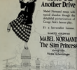 The Slim Princess