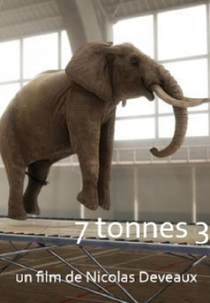 7,2 Toneladas (7 Tonnes 2)