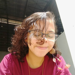 Foto de perfil de Amanda Lins