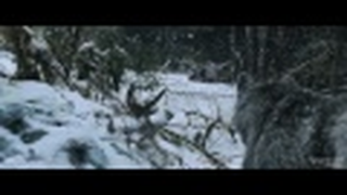 Trailer: The Grey (2012) Movie Teaser Trailer HD - Liam Neeson