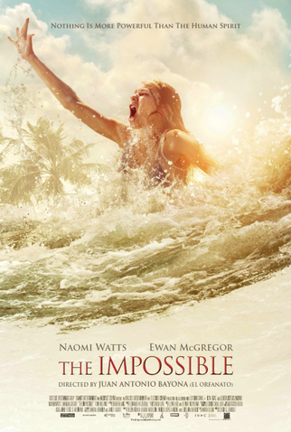 Poster 12 de Filme O Impossível (2012)