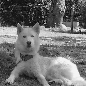 Foto de perfil de Duyllas