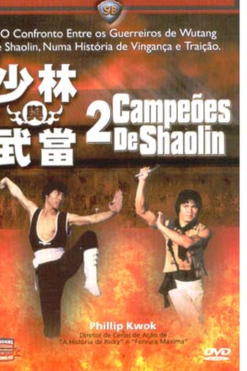 Poster de Filme 2 Campeões de Shaolin (1980)
